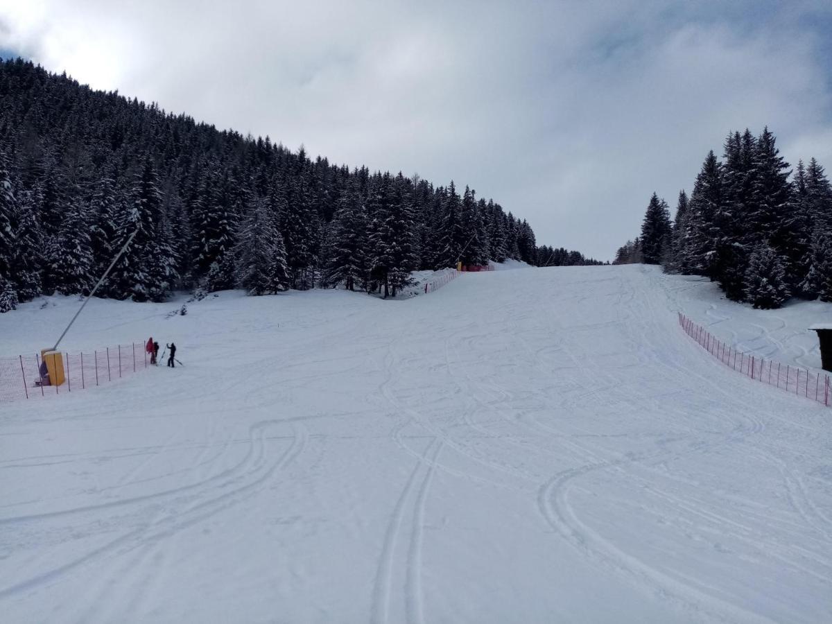 Comodo Alloggio Con Accesso Diretto Alle Piste Santa Caterina Valfurva Ngoại thất bức ảnh
